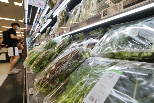 서울의 한 대형마트를 찾은 시민들이 장을 보는 모습. <연합뉴스>